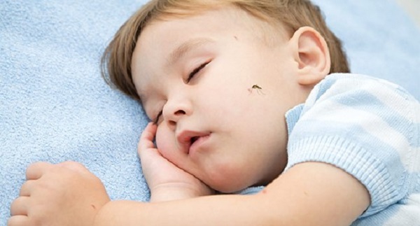 Muỗi ảnh hưởng đến giấc ngủ của trẻ