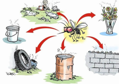 Bà bầu có nên dùng kem chống muỗi – cách tránh muỗi bay vào nhà an toàn